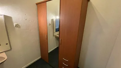 Room for rent in Delft, South Holland