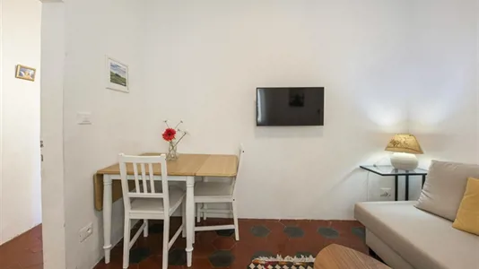 Apartments in Florence - photo 2