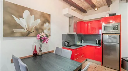 Apartment for rent in Barcelona Ciutat Vella, Barcelona