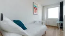 Room for rent, Berlin Treptow-Köpenick, Berlin, Neltestraße