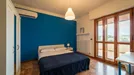 Room for rent, Florence, Toscana, Piazza Augusto Conti, Italy