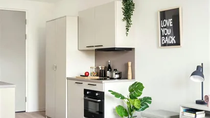 Apartment for rent in Leiden, South Holland