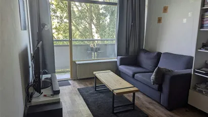 Room for rent in Groningen, Groningen (region)