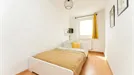 Room for rent, Potsdam, Brandenburg, Hubertusdamm