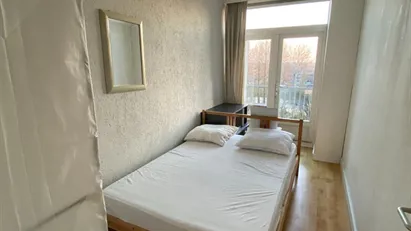 Apartment for rent in Amsterdam