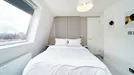 Apartment for rent, Leiden, South Holland, Stadhouderslaan