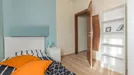 Room for rent, Pisa, Toscana, Via Giuseppe Mazzini