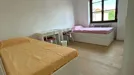 Room for rent, Milano Zona 8 - Fiera, Gallaratese, Quarto Oggiaro, Milan, &lt;span class=&quot;blurred street&quot; onclick=&quot;ProcessAdRequest(11089992)&quot;&gt;&lt;span class=&quot;hint&quot;&gt;See streetname&lt;/span&gt;[xxxxxxxxxxxxx]&lt;/span&gt;