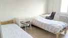 Room for rent, Milano Zona 8 - Fiera, Gallaratese, Quarto Oggiaro, Milan, Via Jacopino da Tradate