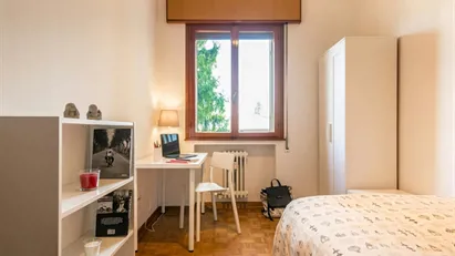 Room for rent in Padua, Veneto