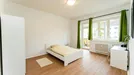 Room for rent, Berlin Steglitz-Zehlendorf, Berlin, Immenweg