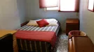 Room for rent, Murcia, Región de Murcia, Paseo Marqués de Corvera