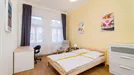 Room for rent, Prague, Sokolská