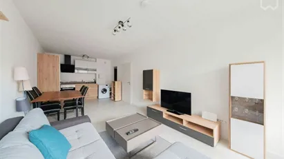 Apartment for rent in Munich