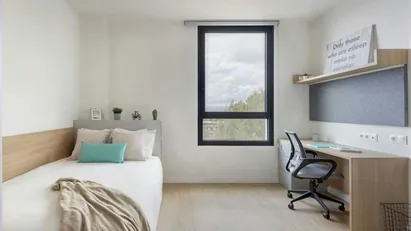 Apartment for rent in Granada, Andalucía Apartment for rent in Granada, Andalucía