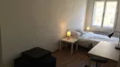 Room for rent, Budapest Józsefváros, Budapest, József körút