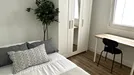 Room for rent, Córdoba, Andalucía, Calle Conquistador Benito de Baños