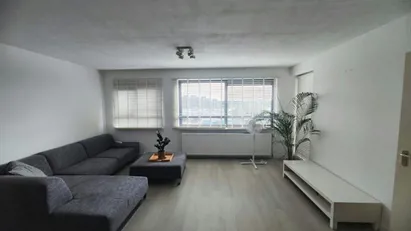 Room for rent in Rotterdam