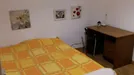 Room for rent, Barcelona Sants-Montjuïc, Barcelona, Carrer de Béjar