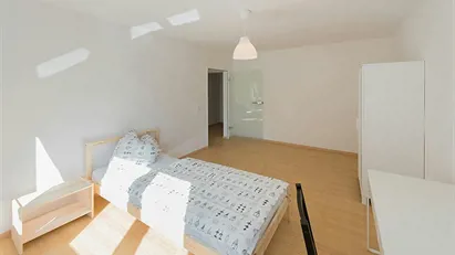 Room for rent in Munich