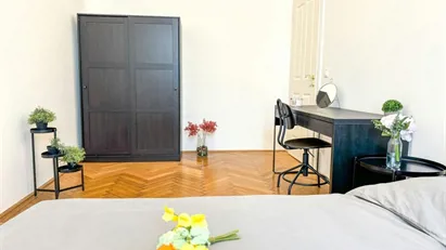 Room for rent in Budapest Belváros-Lipótváros, Budapest