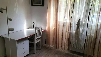 Room for rent in Florence, Toscana