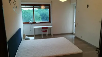 Room for rent in Roma Municipio XIV – Monte Mario, Rome