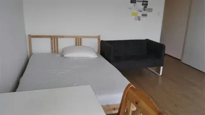 Room for rent in Delft, South Holland