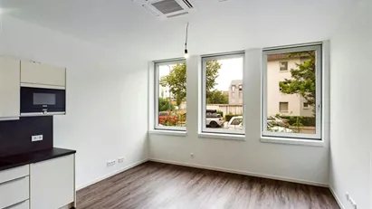 Apartment for rent in Frankfurt (region)