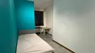 Room for rent, Bologna, Emilia-Romagna, Viale Giuseppe Barilli Quirico Filopanti