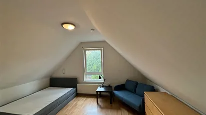 Room for rent in Rotterdam