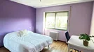 Room for rent, Valladolid, Castilla y León, Plaza Nieves