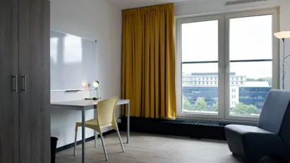 Room for rent in Rotterdam