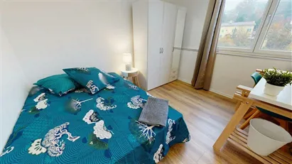 Room for rent in Lyon, Auvergne-Rhône-Alpes