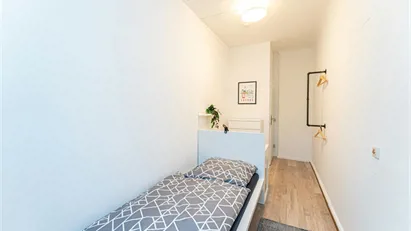 Room for rent in Berlin Treptow-Köpenick, Berlin