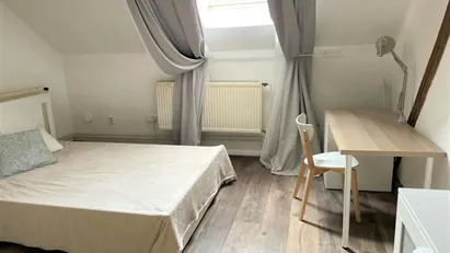 Room for rent in Prague