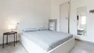 Room for rent, Sassari, Sardegna, Via Alceo Cattalocchino