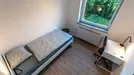 Room for rent, Besnica, Osrednjeslovenska, Vipavska ulica