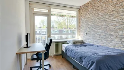 Room for rent in Rotterdam