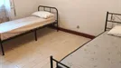 Room for rent, Padua, Veneto, Via Roberto De Visiani