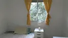 Room for rent, Córdoba, Andalucía, Calle Camino de los Sastres