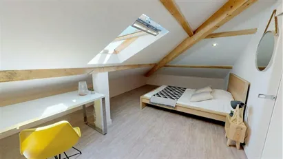 Room for rent in Lyon, Auvergne-Rhône-Alpes