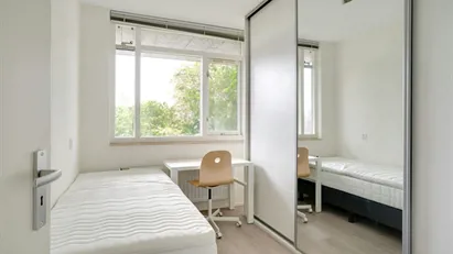 Room for rent in Rotterdam