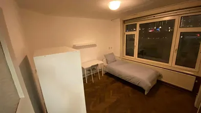 Room for rent in Rotterdam