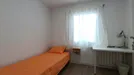 Room for rent, Zaragoza, Aragón, Calle Aljafería