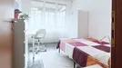 Room for rent, Padua, Veneto, Via Tripoli