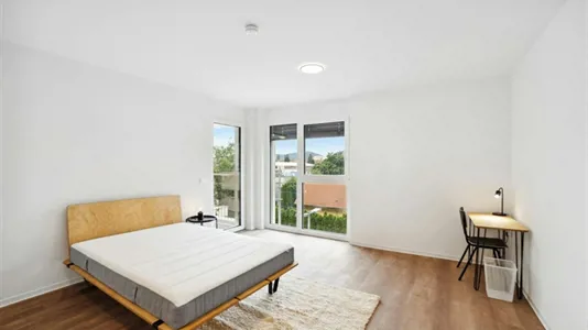 Rooms in Graz - photo 1