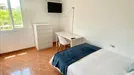 Room for rent, la Punta, Comunidad Valenciana, Avinguda de la Plata