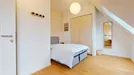 Room for rent, Stad Brussel, Brussels, Rue Stevin