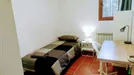 Room for rent, Cerdanyola del Vallès, Cataluña, Carrer dAlonso Cano